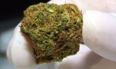 Zimbabwe: Urumogi rwahawe Umugisha.