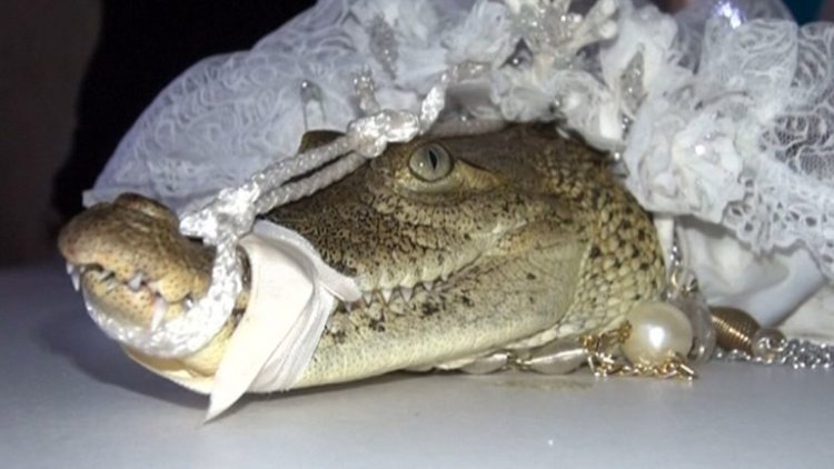 Meya  Yasezeranye kubana akaramata n'Ingona.