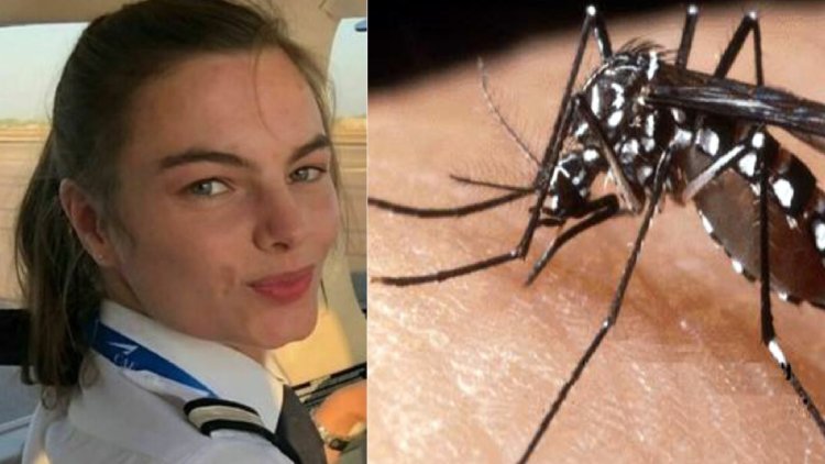 Ubwongereza: Umupirote w'indege yapfuye nyuma yo kurumwa n’umubu ku gahanga.