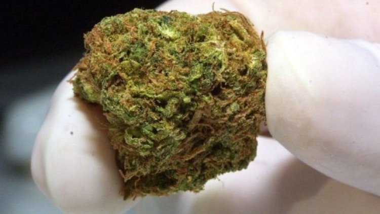 Zimbabwe: Urumogi rwahawe Umugisha.