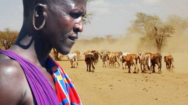 Perezida yavuze ko nta mushumba wemerewe kuragira inka afite Umuhoro