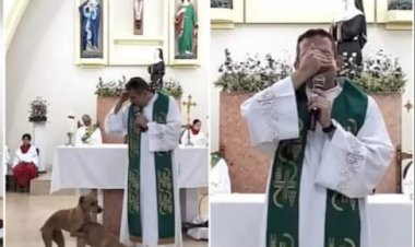 Padiri yasubitse igitambo cya Misa nyuma yo kubona imbwa ebyiri zi Senzanya kuri aritari