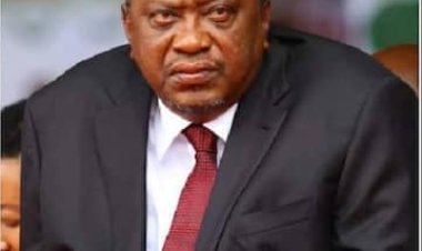 Urubyiruko rwiraye mu murima wa Uhuru kenyatta batemagura ibiti byose