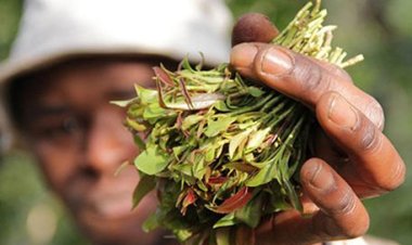 Nyuma y'ibyumweru bitandatu bakoze ubukwe, yatse gatanya nyuma yo kumusanga ariho arya kandi bari mu gisibo