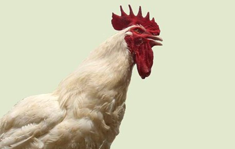 Isake yakatiwe n'urukiko igihano cyo kwicwa