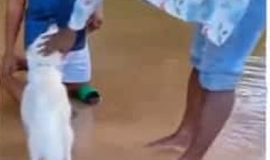 Yabatije Imbwa ye kugirango ibwagure vuba