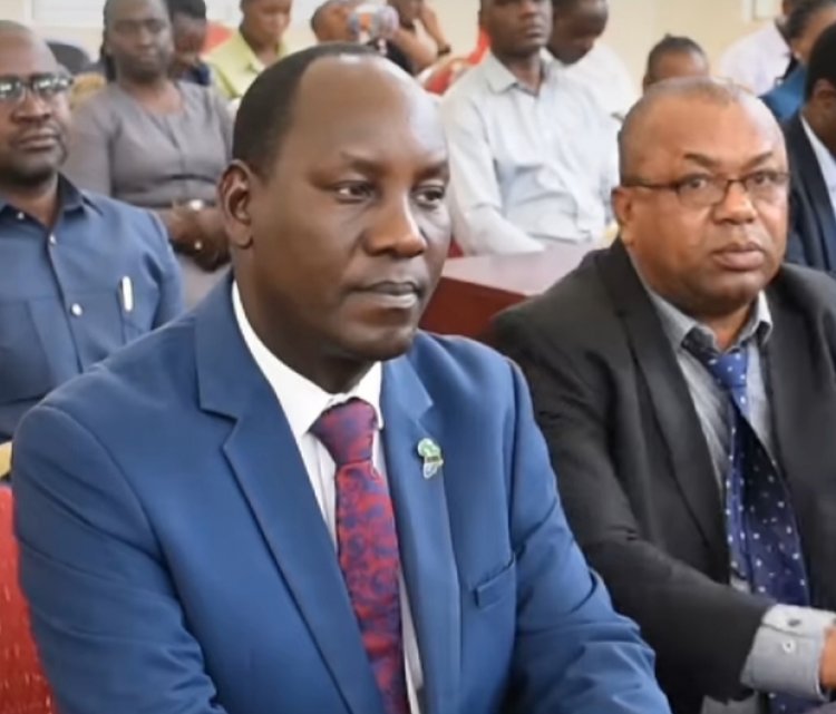 Tanzania: Yagiye  kukazi azi ko ariwe Perezida yahaye Umwanya